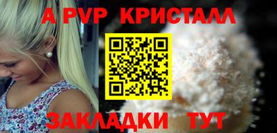 шишки Будённовск