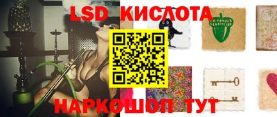 шишки Будённовск