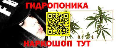 шишки Будённовск