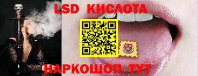 шишки Будённовск
